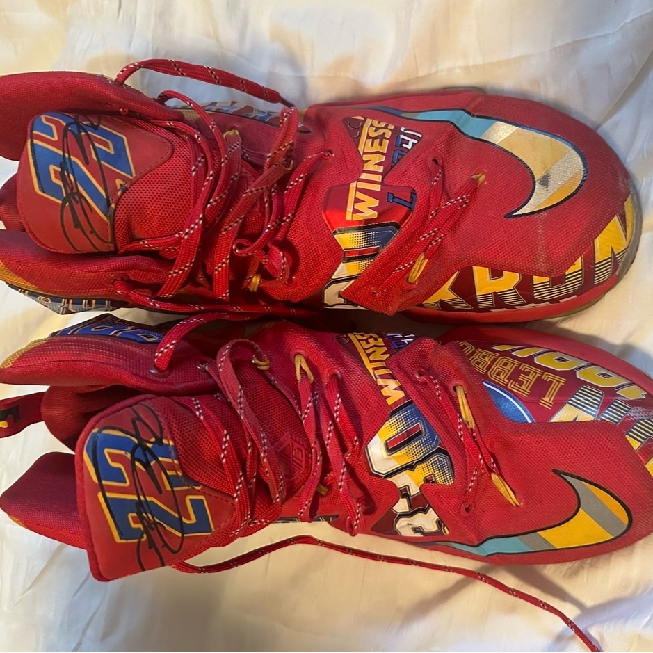 Lebron Eybl Promo Shoes
